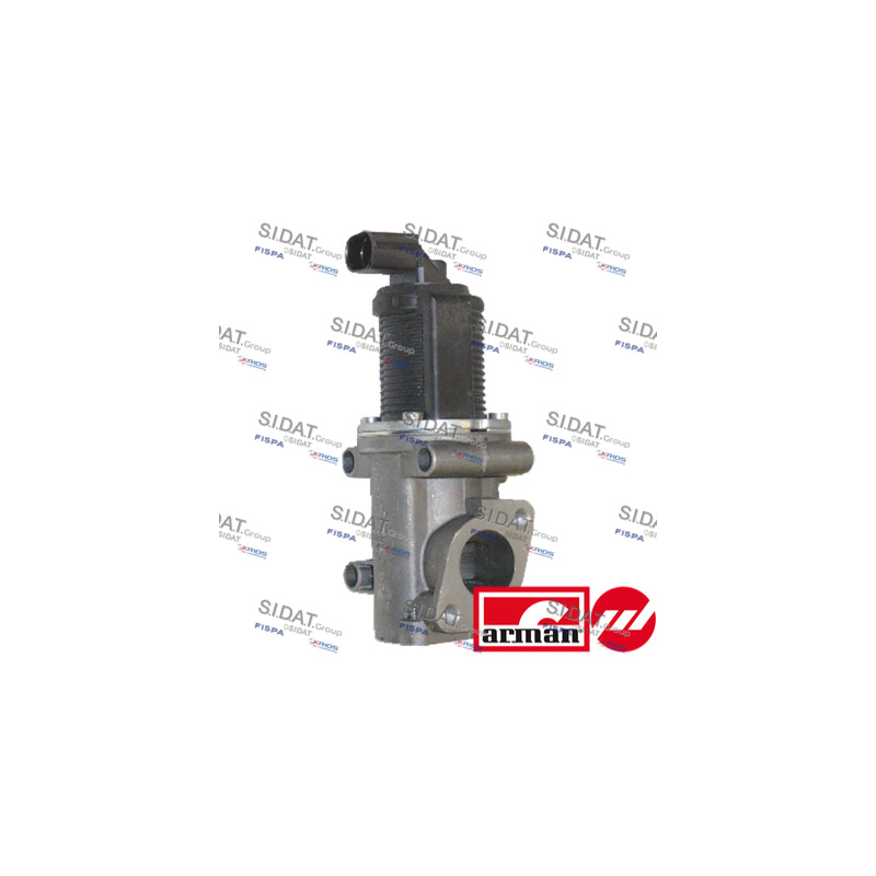 Valvola EGR - SIDAT