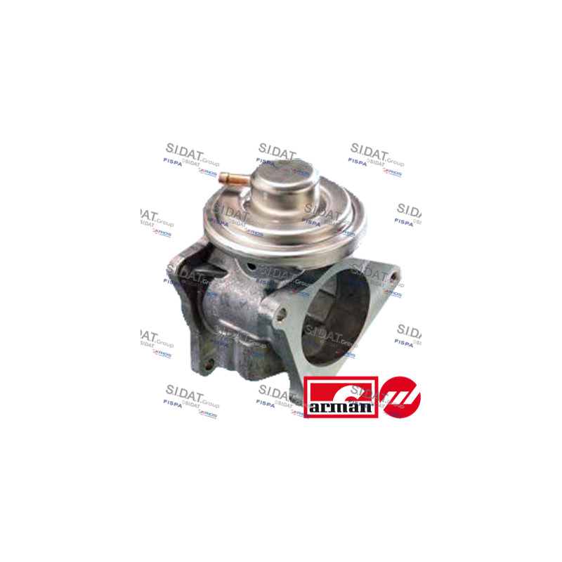 Valvola EGR - SIDAT
