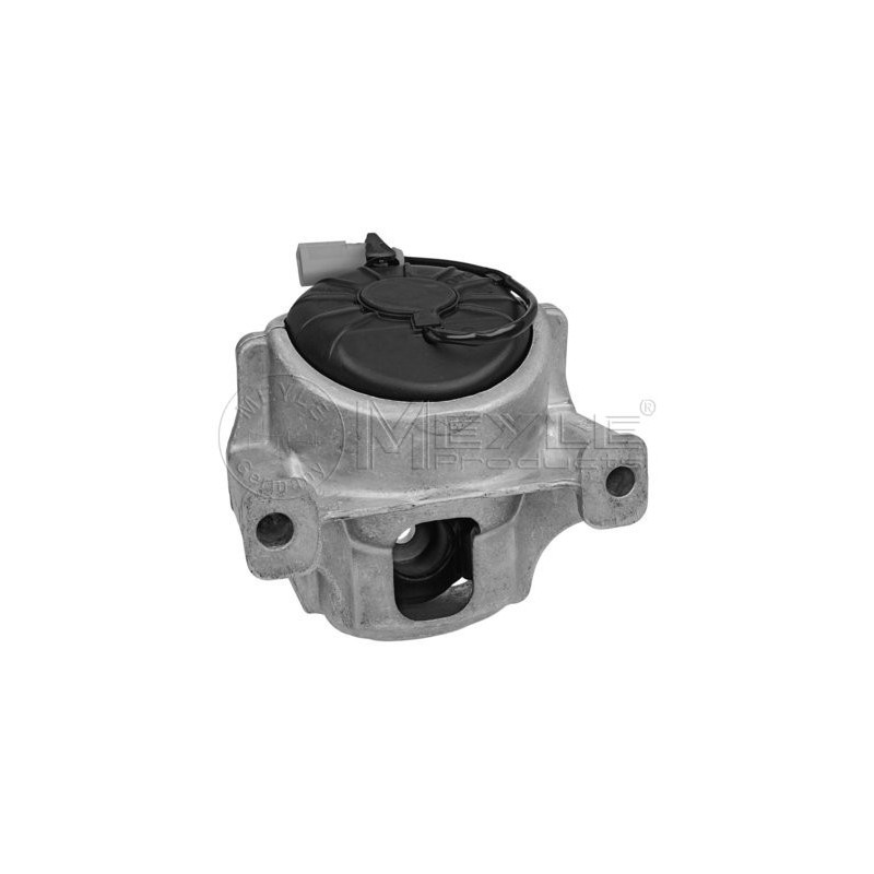 Supporto motore - MEYLE