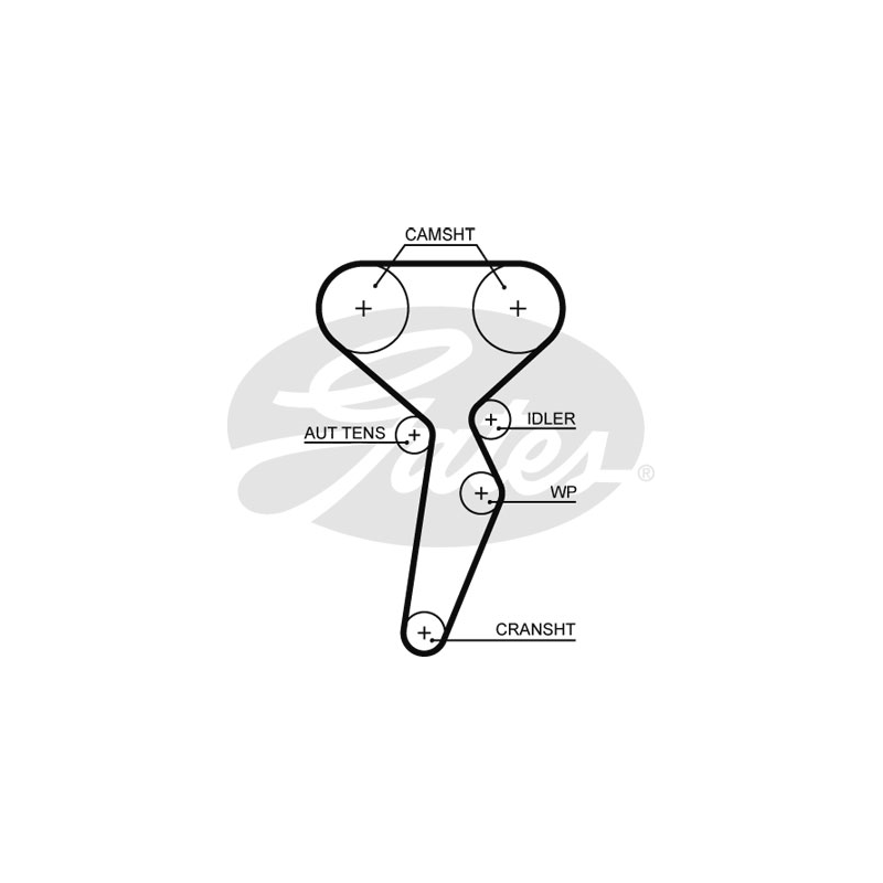 Kit distribuzione - GATES