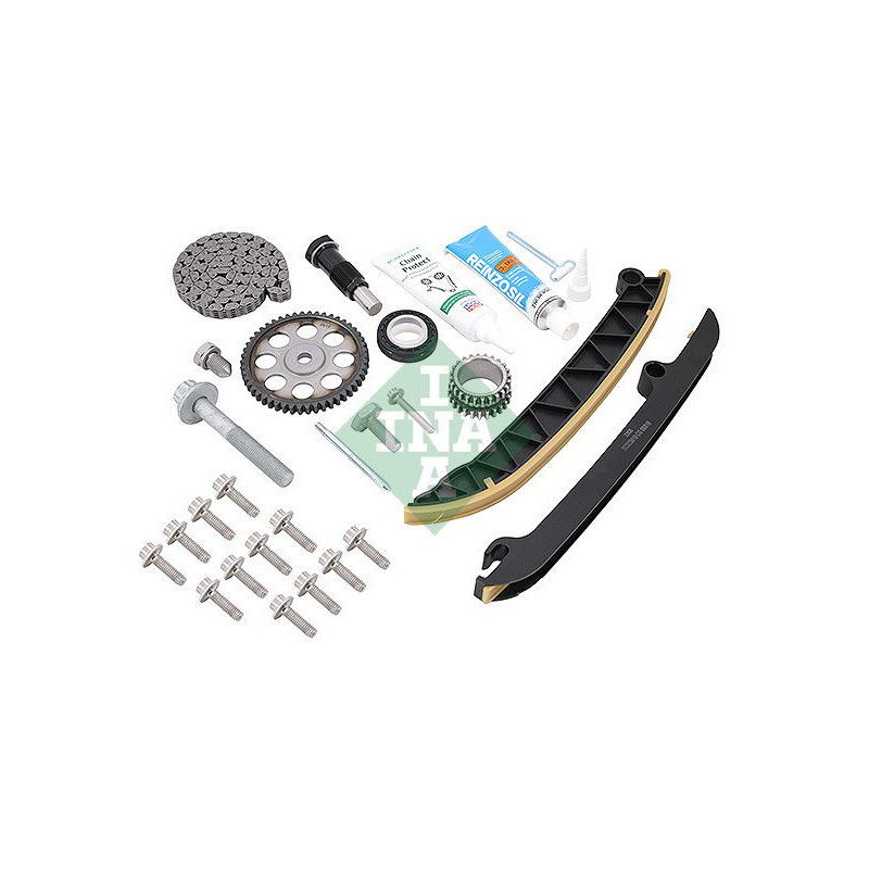 Cinghia/catena distribuzione - INA