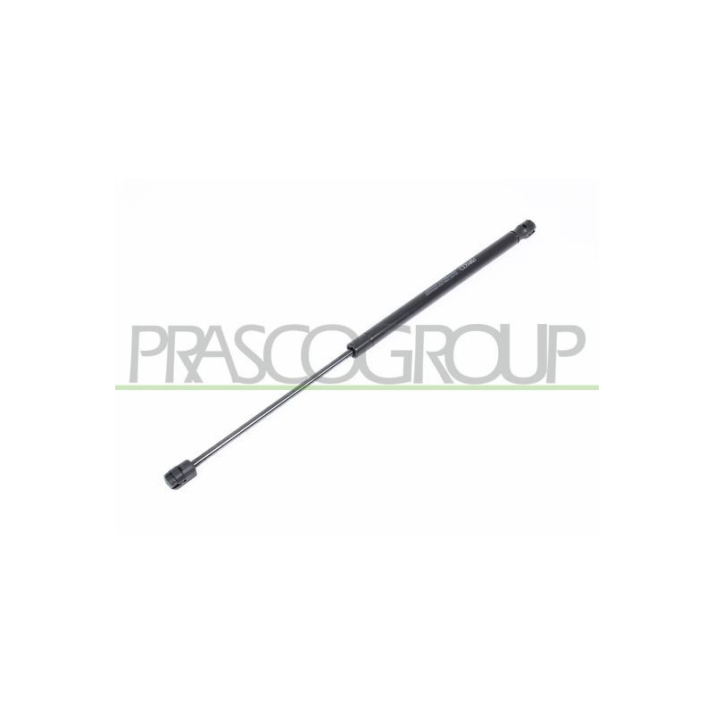 Pistoncino ammortizzatore - PRASCO