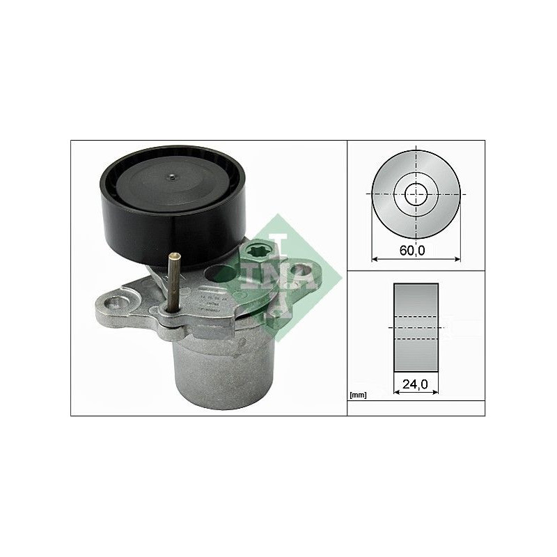 Tendicinghia trapezoidale - INA