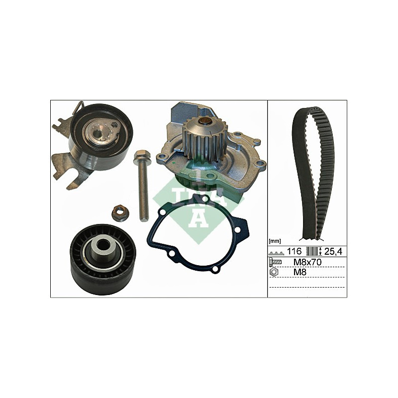 Tendicinghia trapezoidale - INA