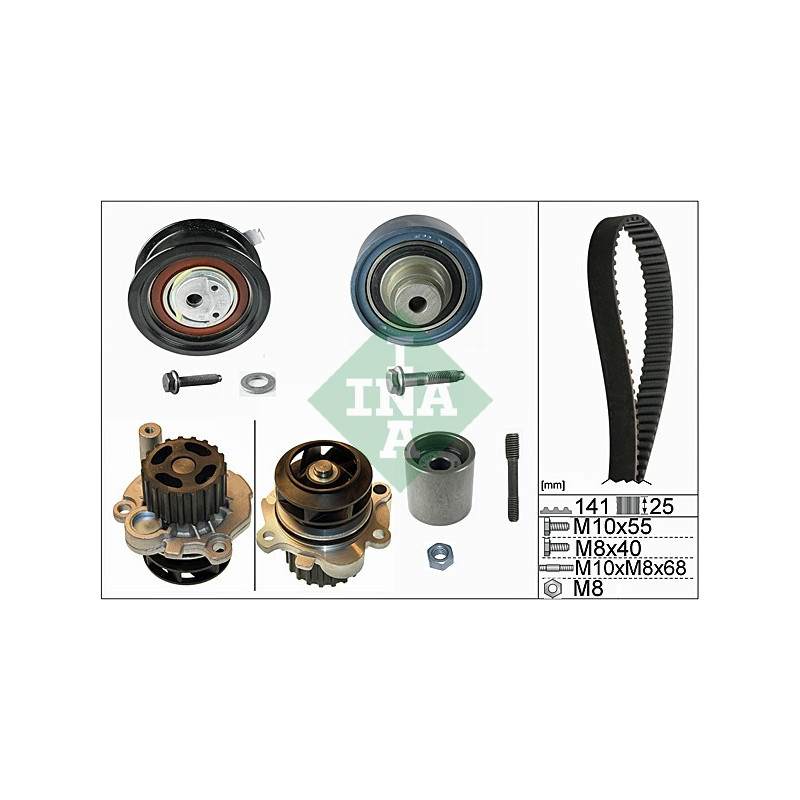 Tendicinghia trapezoidale - INA