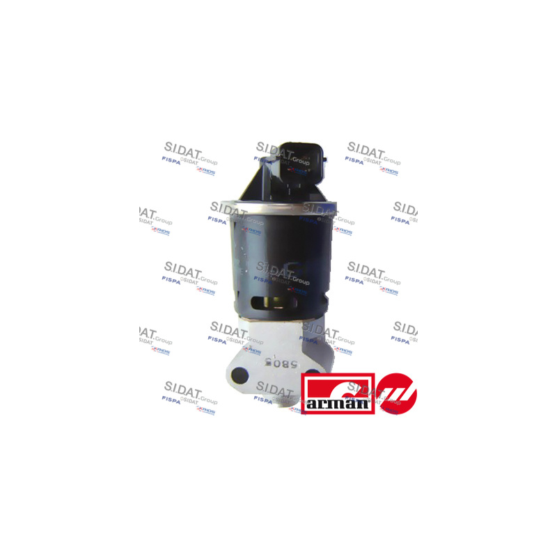 Valvola EGR - SIDAT