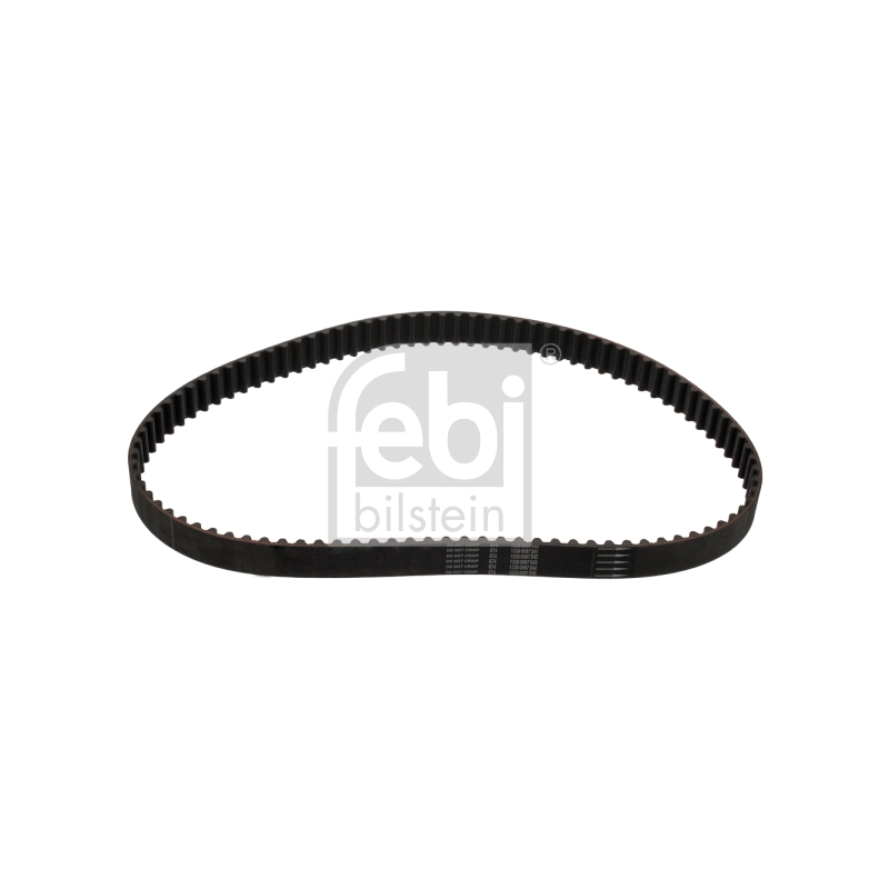 Cinghia/catena distribuzione - FEBI