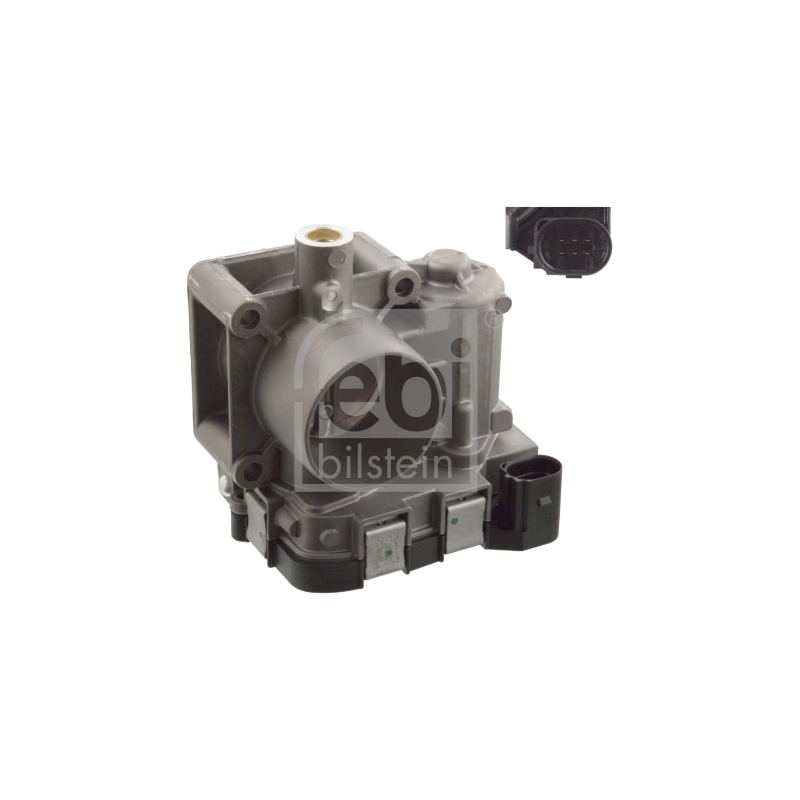 Corpo farfallato - FEBI