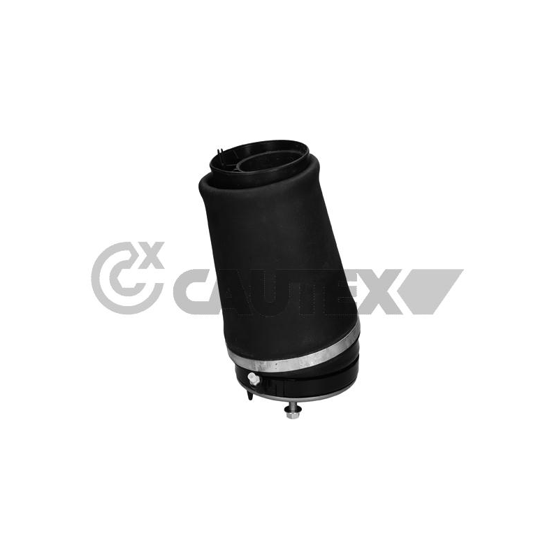 Ammortizzatore asse anteriore - CAUTEX GOMMA E PARTI MOTORE
