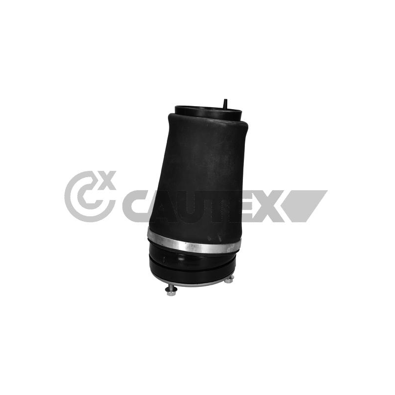 Ammortizzatore asse anteriore - CAUTEX GOMMA E PARTI MOTORE