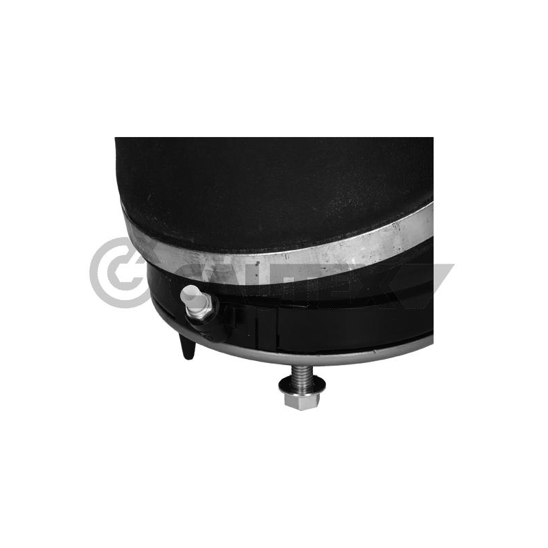 Ammortizzatore asse anteriore - CAUTEX GOMMA E PARTI MOTORE