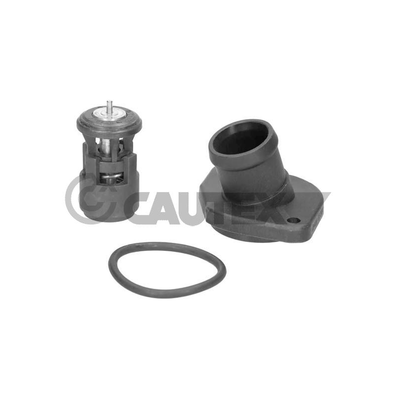 Termostato raffreddamento - CAUTEX GOMMA E PARTI MOTORE