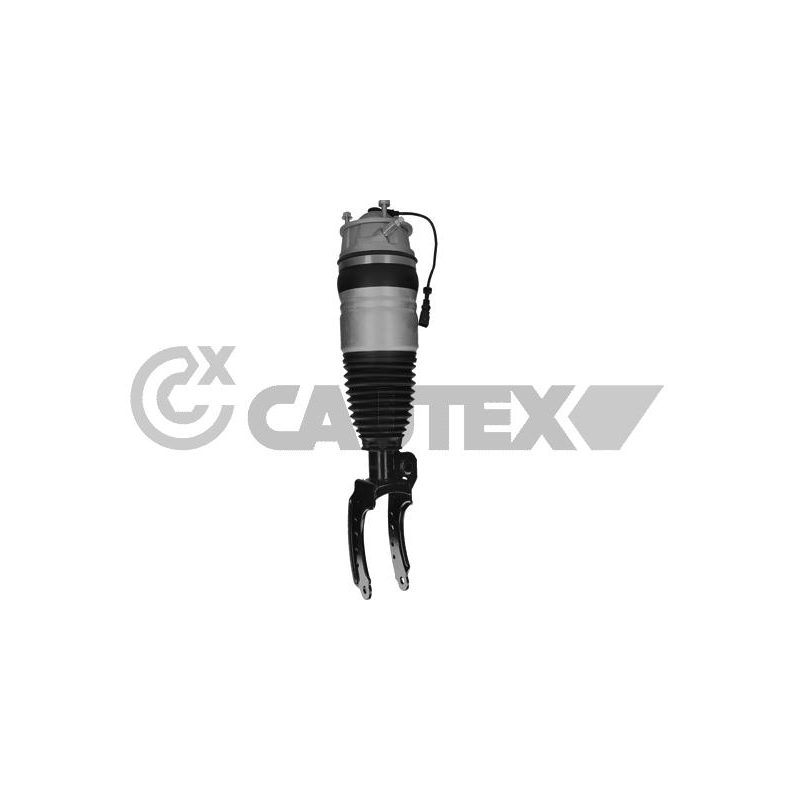 Ammortizzatore asse anteriore - CAUTEX GOMMA E PARTI MOTORE