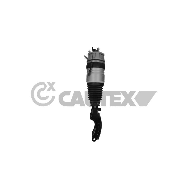 Ammortizzatore asse anteriore - CAUTEX GOMMA E PARTI MOTORE