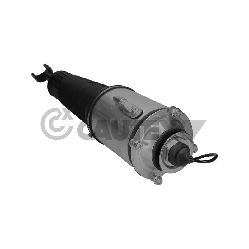 Ammortizzatore asse anteriore - CAUTEX GOMMA E PARTI MOTORE