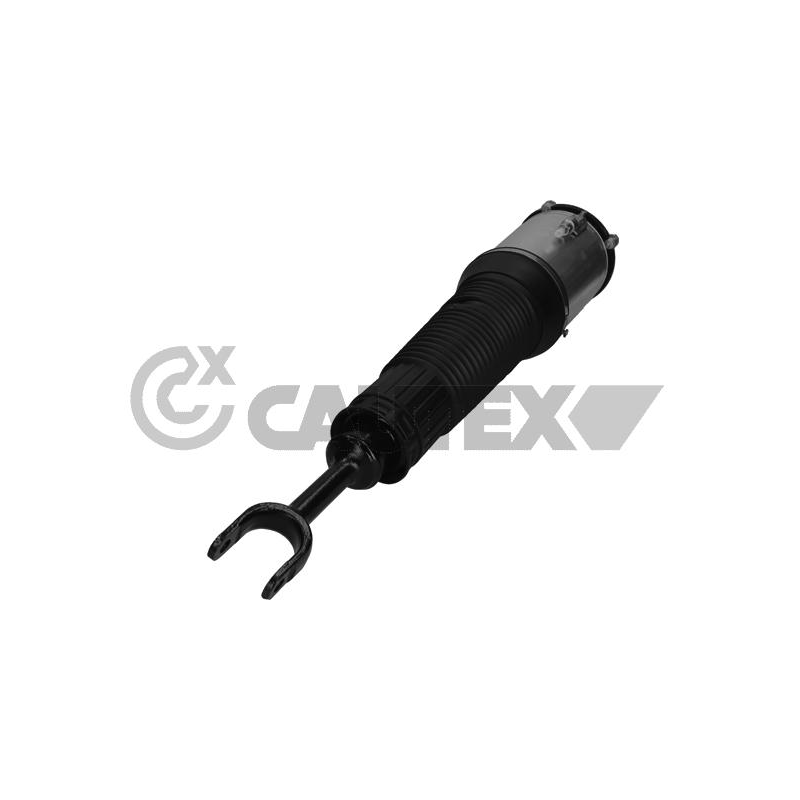 Ammortizzatore asse anteriore - CAUTEX GOMMA E PARTI MOTORE