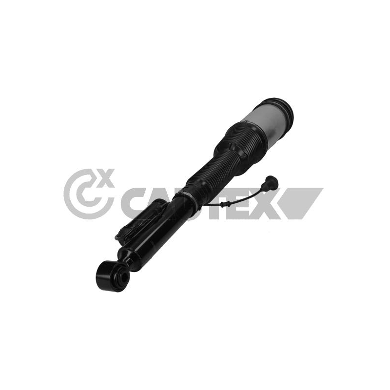 Ammortizzatore asse posteriore - CAUTEX GOMMA E PARTI MOTORE