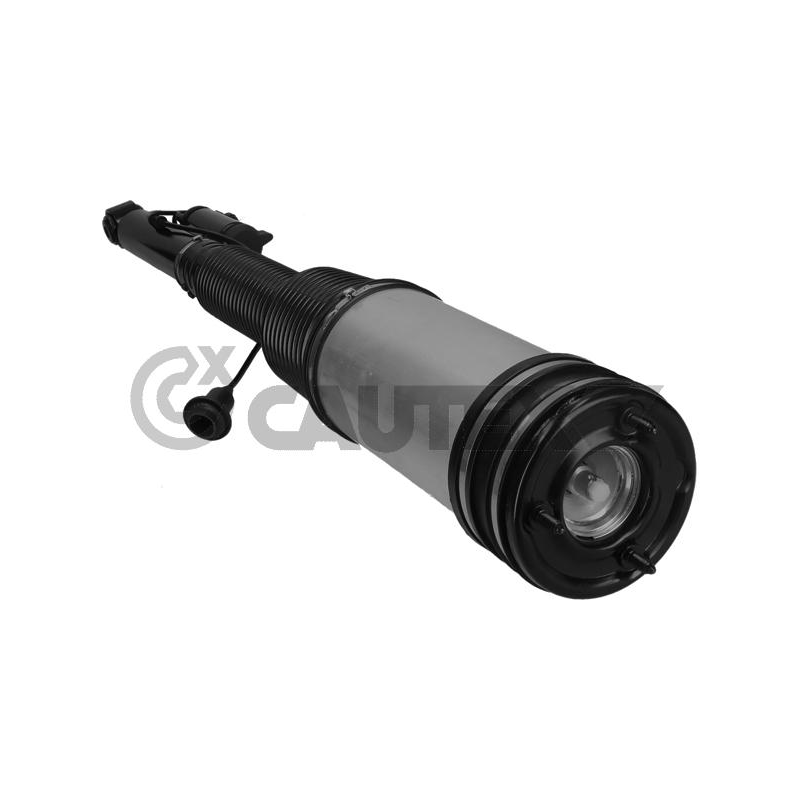 Ammortizzatore asse posteriore - CAUTEX GOMMA E PARTI MOTORE