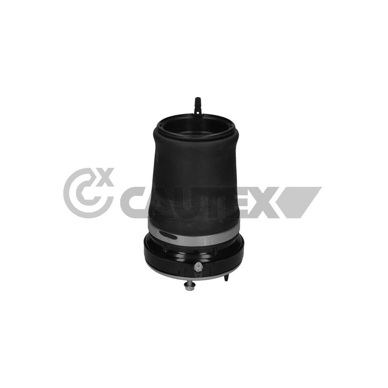 Ammortizzatore asse anteriore - CAUTEX GOMMA E PARTI MOTORE