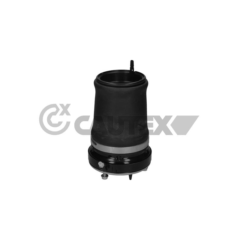 Ammortizzatore asse anteriore - CAUTEX GOMMA E PARTI MOTORE