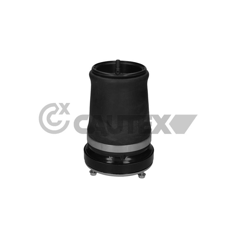 Ammortizzatore asse anteriore - CAUTEX GOMMA E PARTI MOTORE