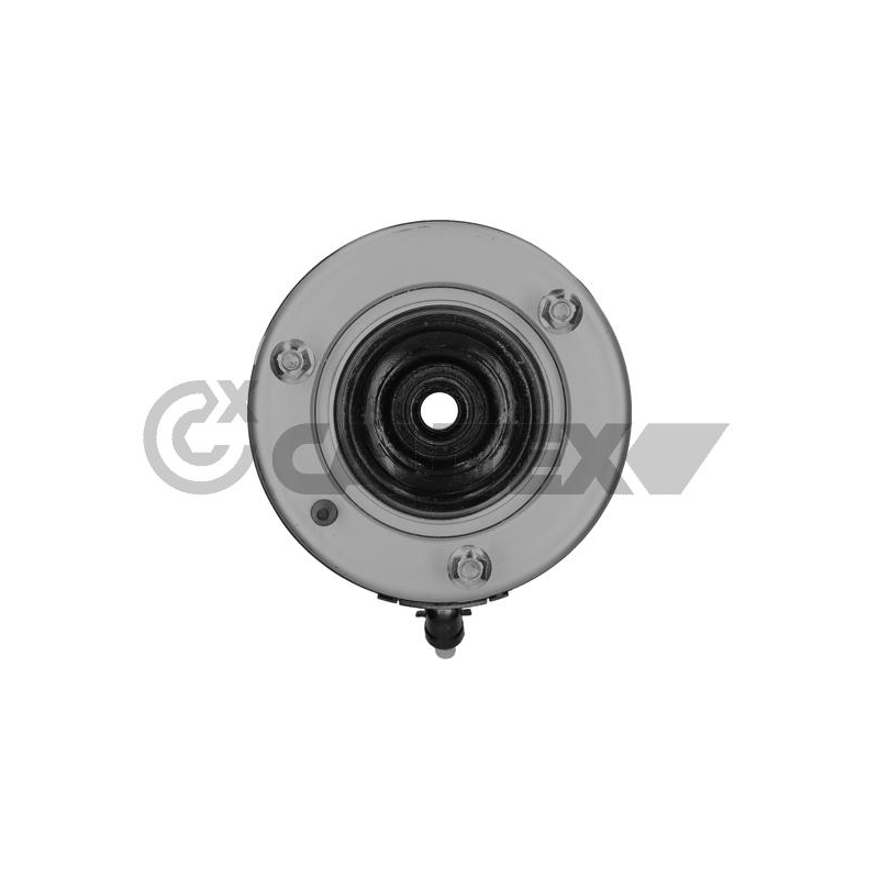 Ammortizzatore asse anteriore - CAUTEX GOMMA E PARTI MOTORE