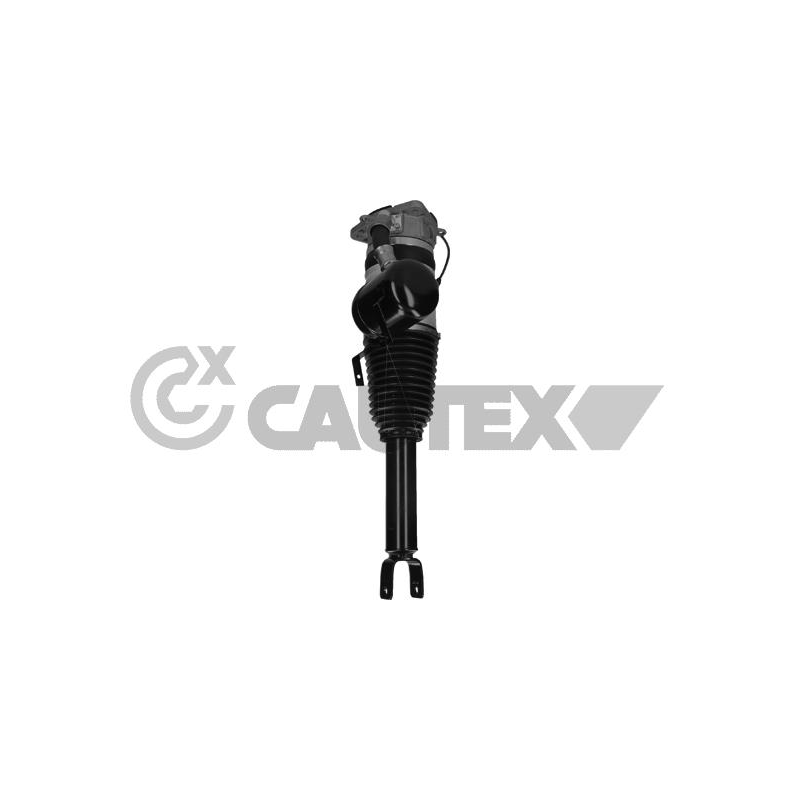 Ammortizzatore asse posteriore - CAUTEX GOMMA E PARTI MOTORE