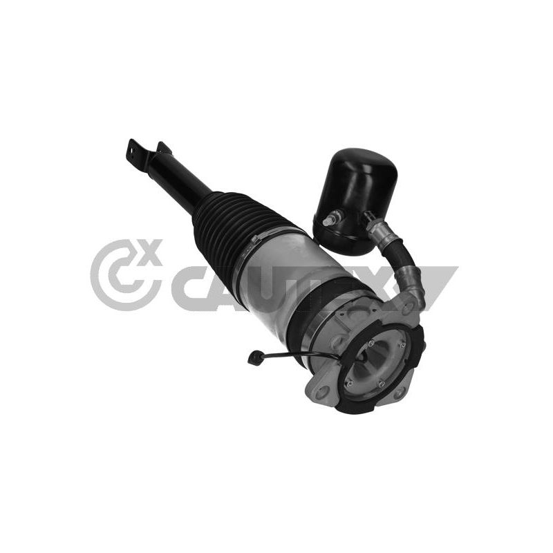 Ammortizzatore asse posteriore - CAUTEX GOMMA E PARTI MOTORE