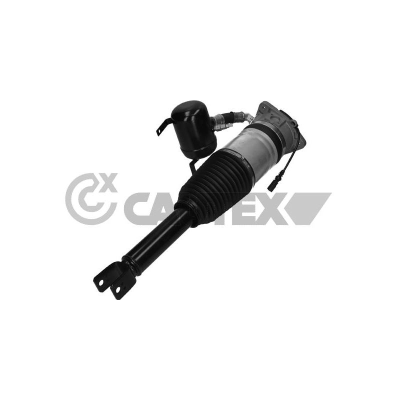 Ammortizzatore asse posteriore - CAUTEX GOMMA E PARTI MOTORE