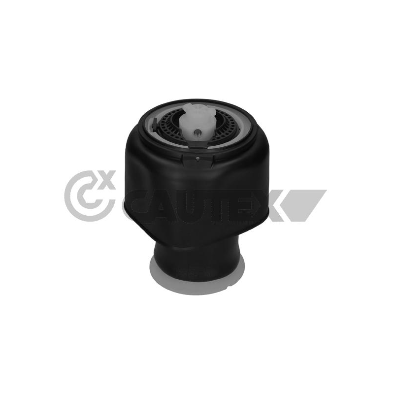 Ammortizzatore asse posteriore - CAUTEX GOMMA E PARTI MOTORE