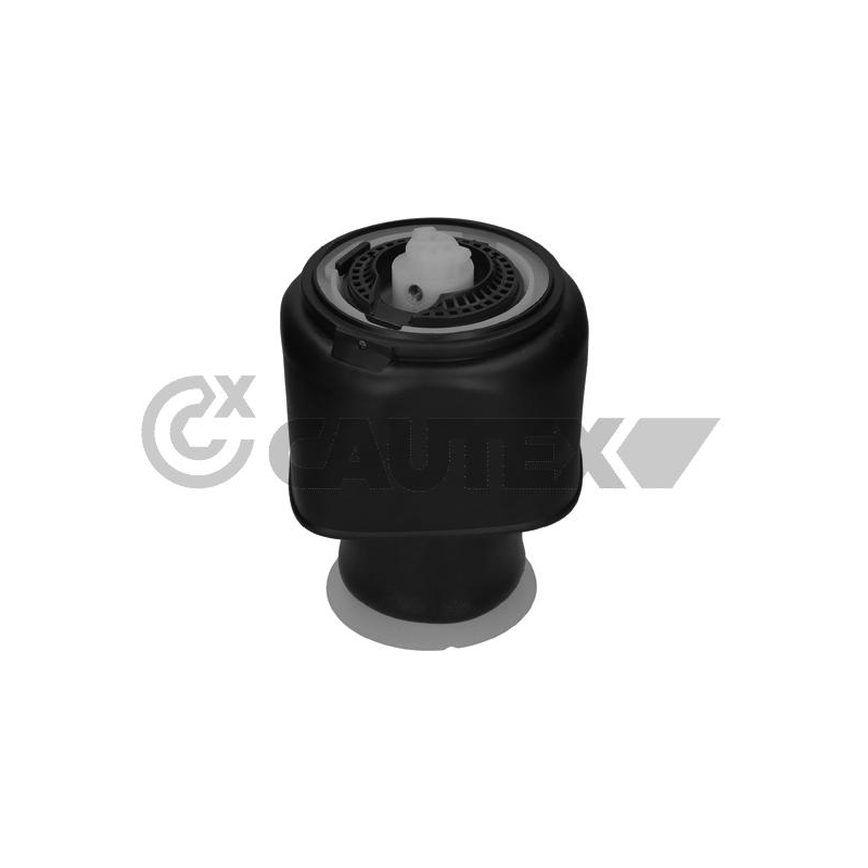 Ammortizzatore asse posteriore - CAUTEX GOMMA E PARTI MOTORE