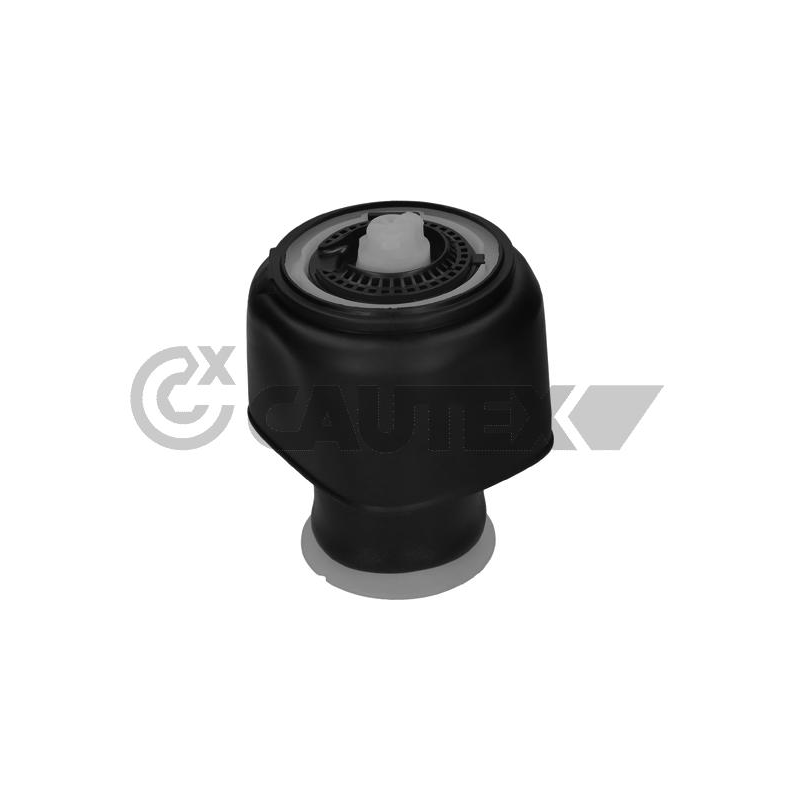 Ammortizzatore asse posteriore - CAUTEX GOMMA E PARTI MOTORE