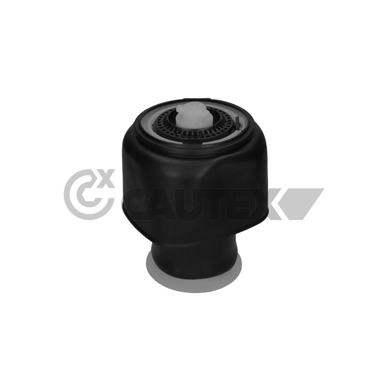 Ammortizzatore asse posteriore - CAUTEX GOMMA E PARTI MOTORE