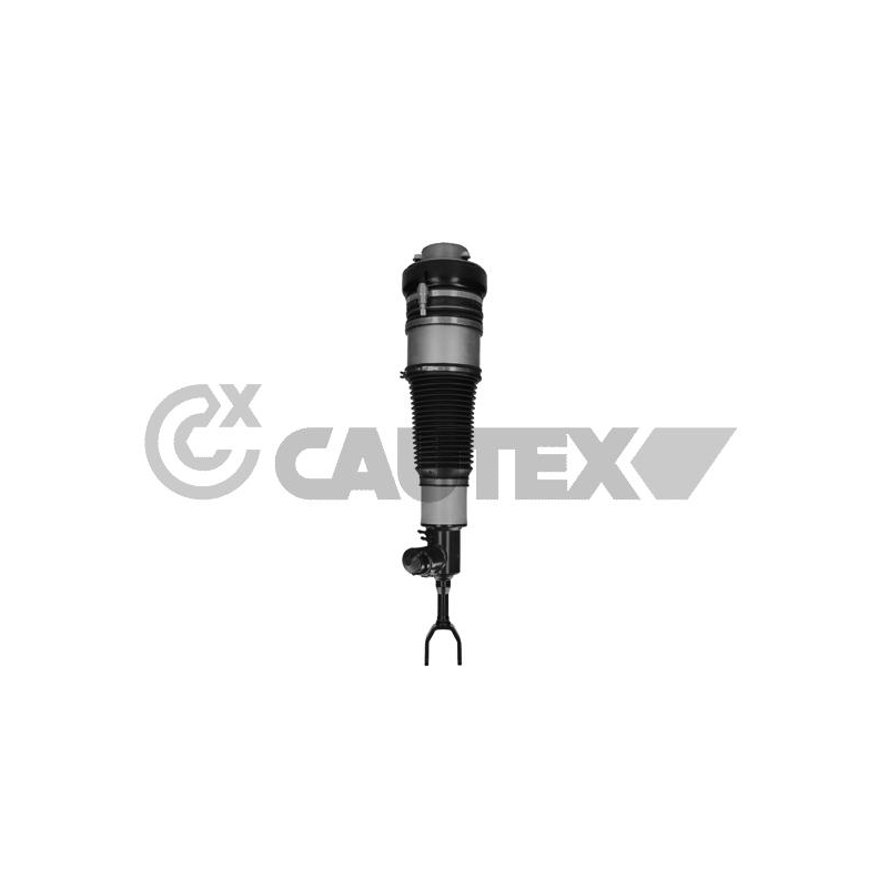 Ammortizzatore asse anteriore - CAUTEX GOMMA E PARTI MOTORE