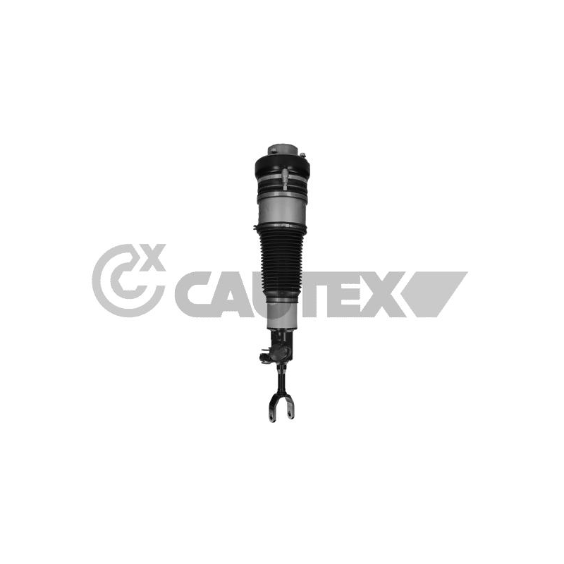 Ammortizzatore asse anteriore - CAUTEX GOMMA E PARTI MOTORE