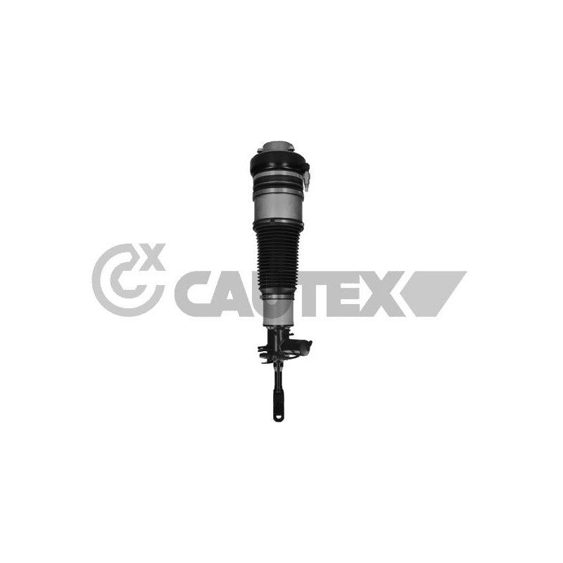 Ammortizzatore asse anteriore - CAUTEX GOMMA E PARTI MOTORE