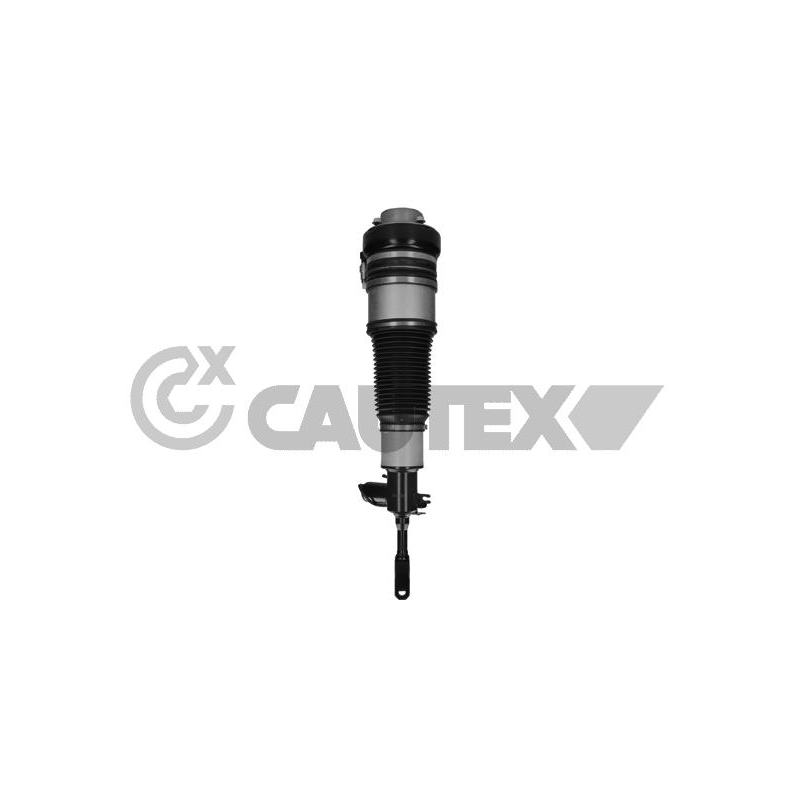 Ammortizzatore asse anteriore - CAUTEX GOMMA E PARTI MOTORE