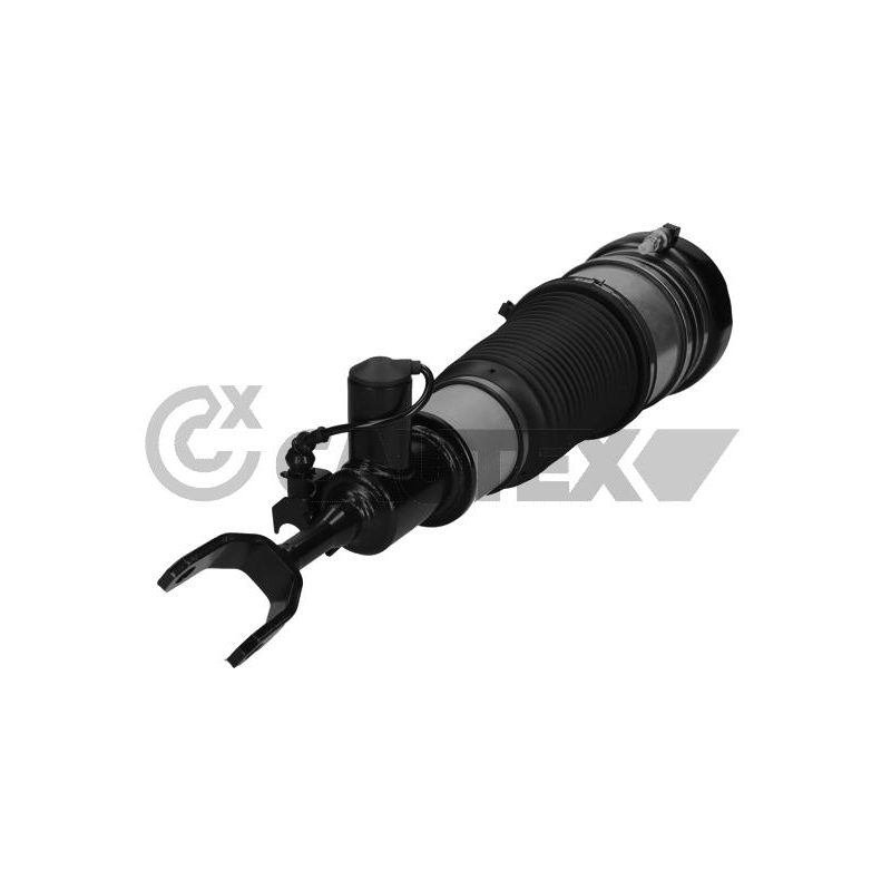 Ammortizzatore asse anteriore - CAUTEX GOMMA E PARTI MOTORE