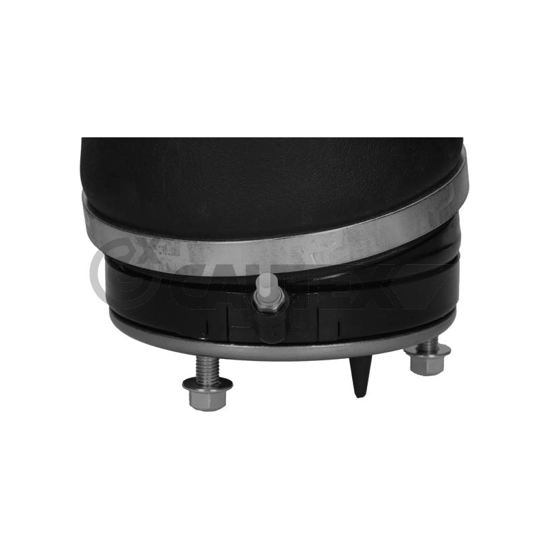 Ammortizzatore asse anteriore - CAUTEX GOMMA E PARTI MOTORE