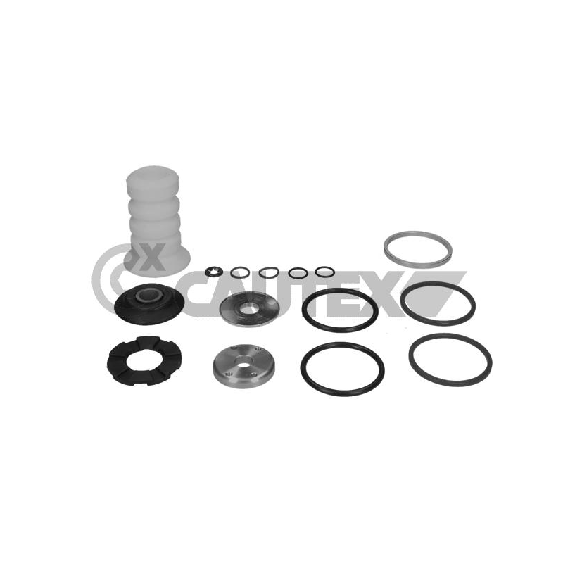 Ammortizzatore asse anteriore - CAUTEX GOMMA E PARTI MOTORE