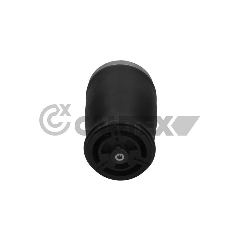 Molla sospensione asse posteriore - CAUTEX GOMMA E PARTI MOTORE