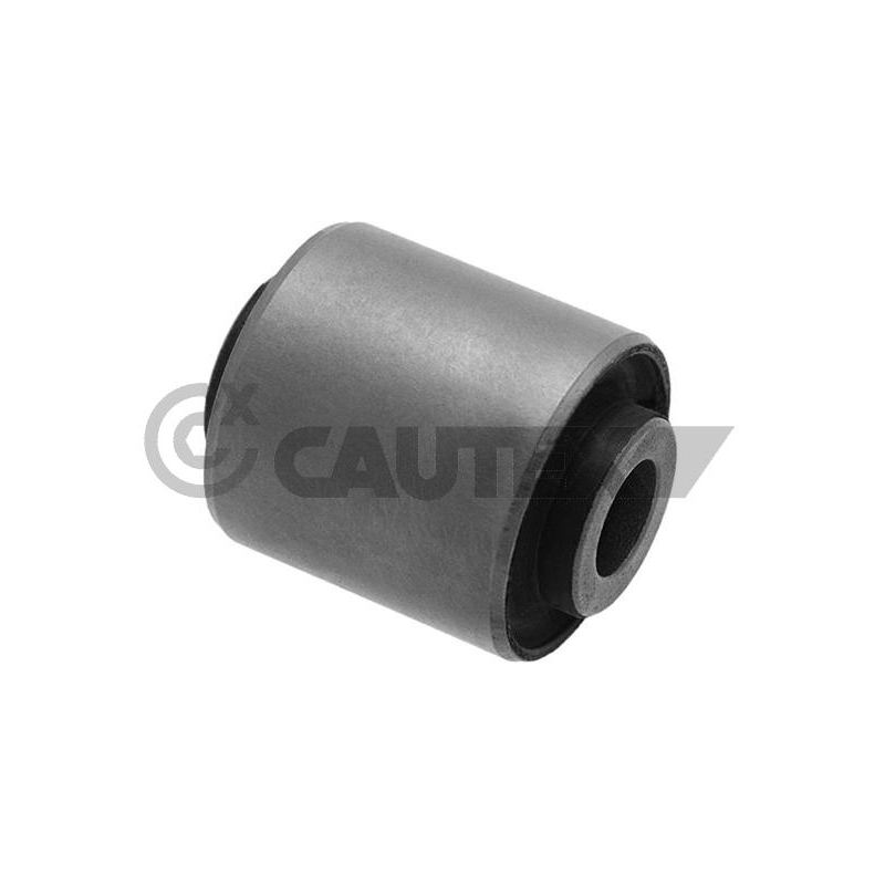 Ammortizzatore asse anteriore - CAUTEX GOMMA E PARTI MOTORE