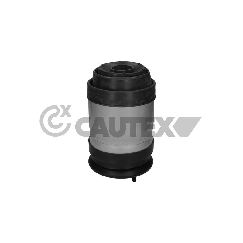 Ammortizzatore asse posteriore - CAUTEX GOMMA E PARTI MOTORE