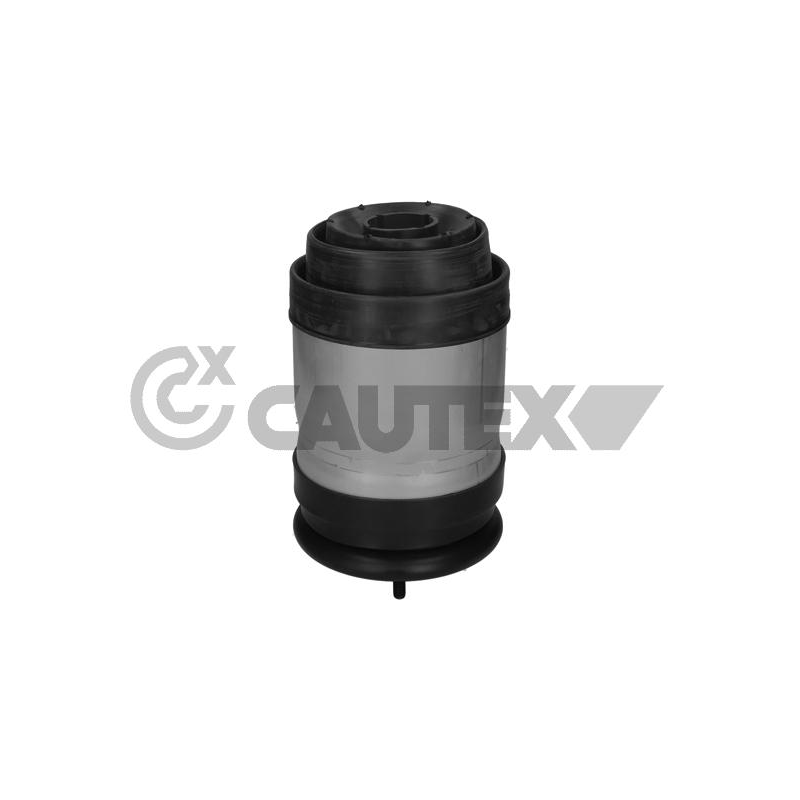 Ammortizzatore asse posteriore - CAUTEX GOMMA E PARTI MOTORE