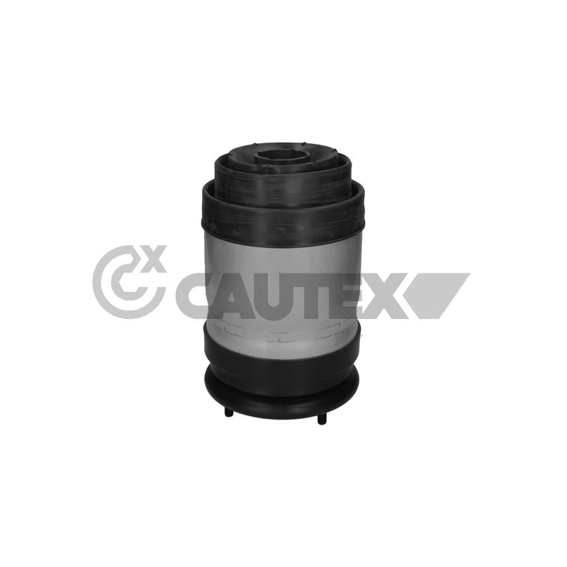 Ammortizzatore asse posteriore - CAUTEX GOMMA E PARTI MOTORE