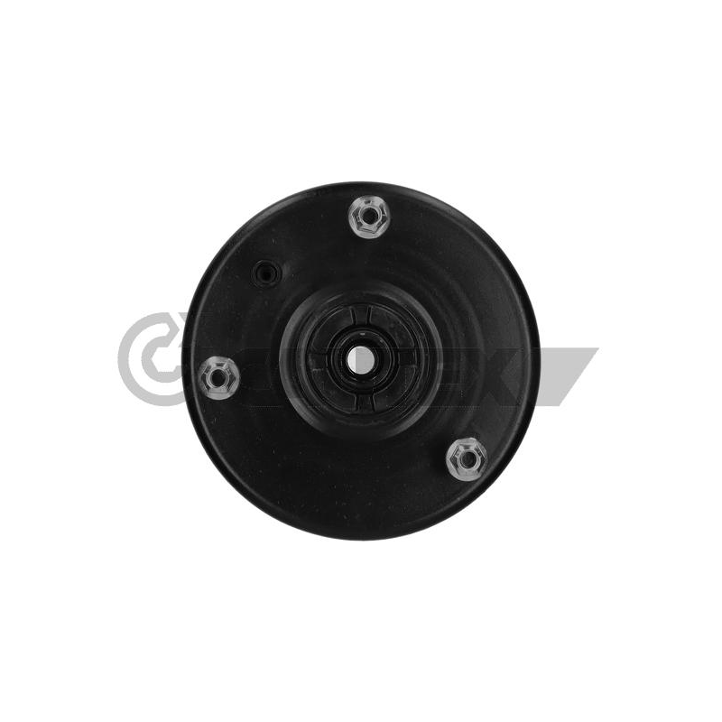 Ammortizzatore asse posteriore - CAUTEX GOMMA E PARTI MOTORE