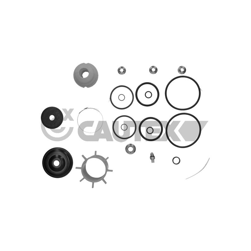 Ammortizzatore asse posteriore - CAUTEX GOMMA E PARTI MOTORE