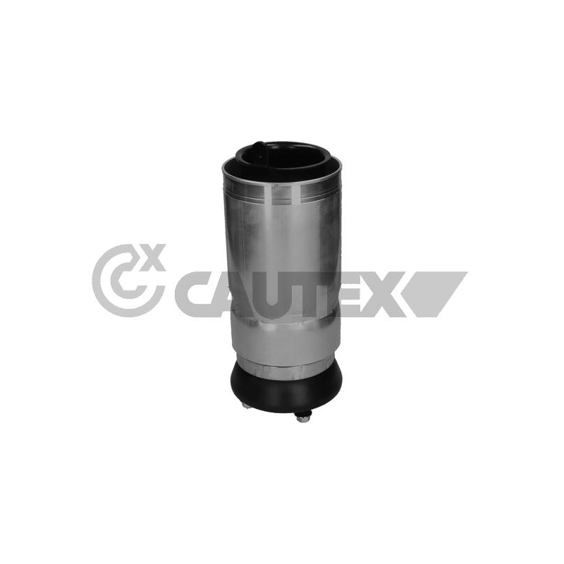 Ammortizzatore asse anteriore - CAUTEX GOMMA E PARTI MOTORE