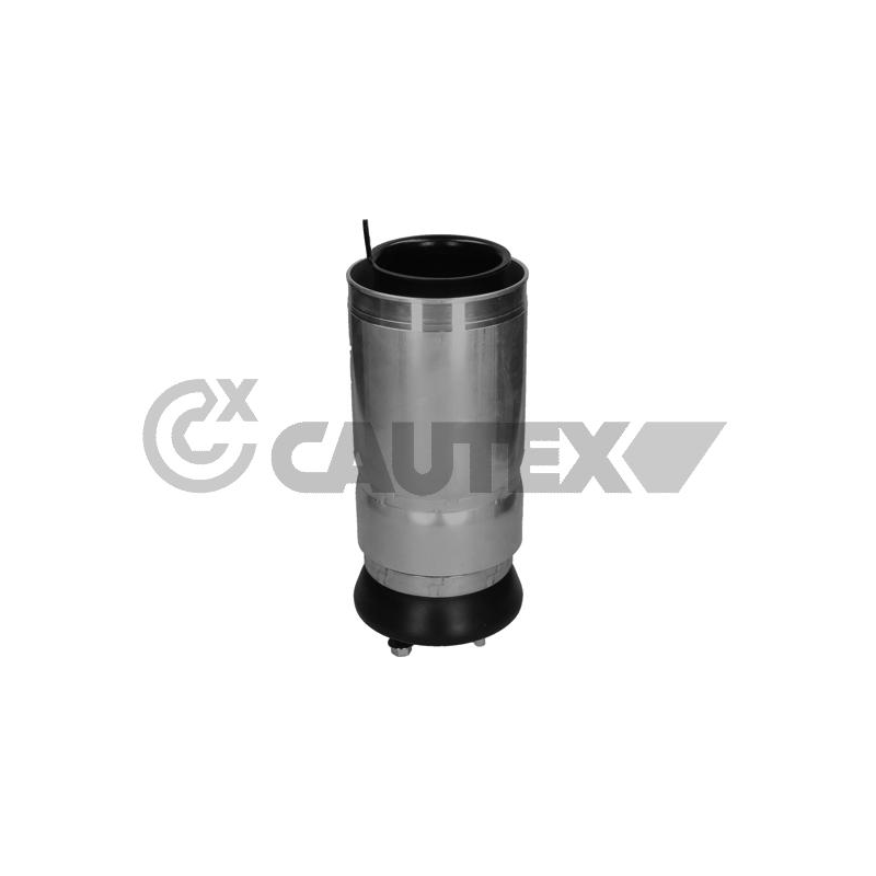 Ammortizzatore asse anteriore - CAUTEX GOMMA E PARTI MOTORE