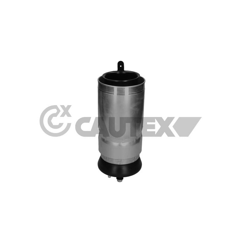 Ammortizzatore asse anteriore - CAUTEX GOMMA E PARTI MOTORE